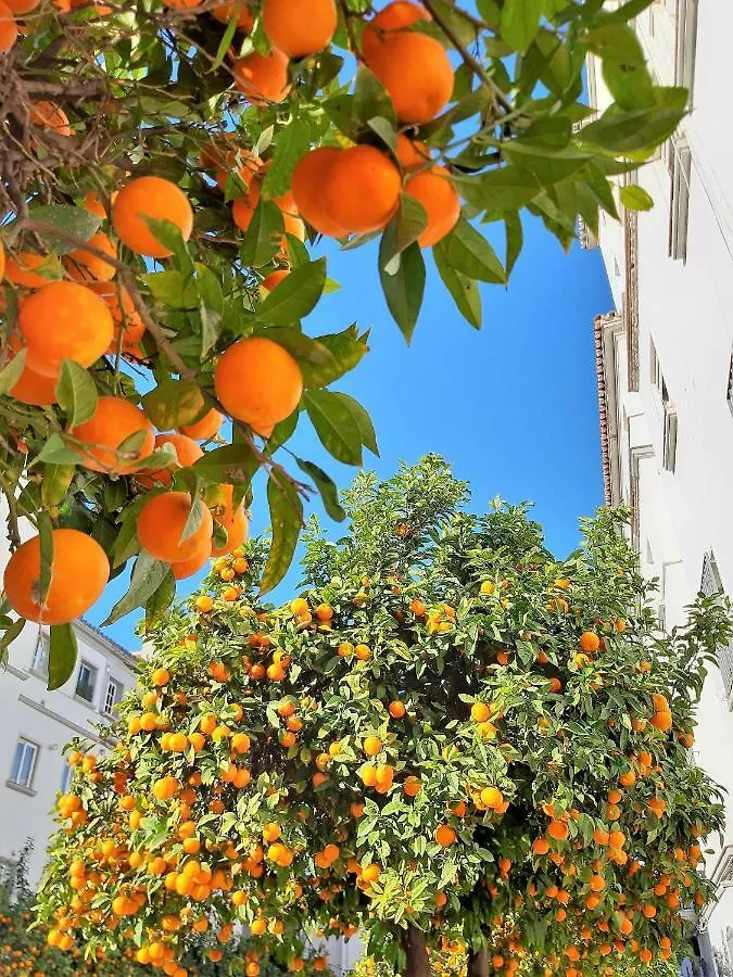 Modern Family Flat Malaga Lägenhet